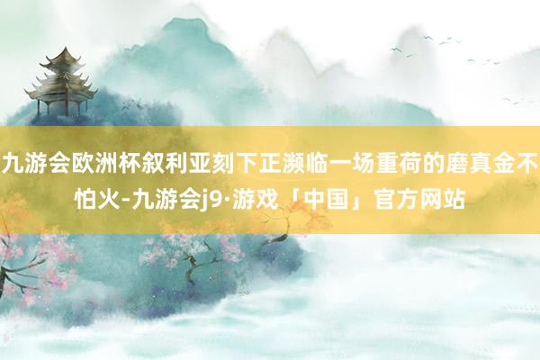 九游会欧洲杯叙利亚刻下正濒临一场重荷的磨真金不怕火-九游会j9·游戏「中国」官方网站