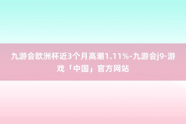 九游会欧洲杯近3个月高潮1.11%-九游会j9·游戏「中国」官方网站