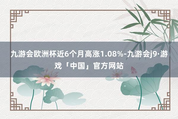 九游会欧洲杯近6个月高涨1.08%-九游会j9·游戏「中国」官方网站